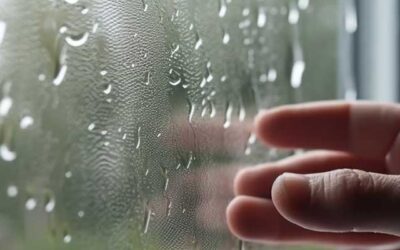 Indoor Humidity Levels
